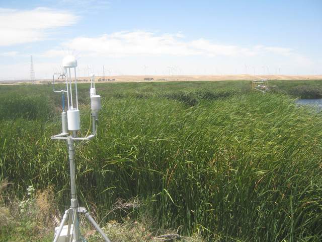 Joe finishes work on Tule Tower