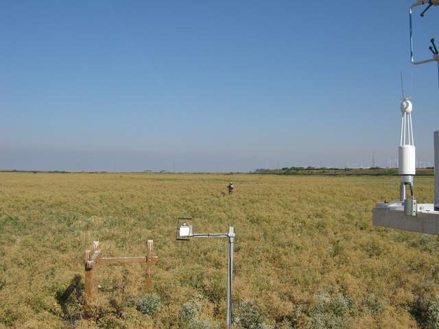 Fieldwork