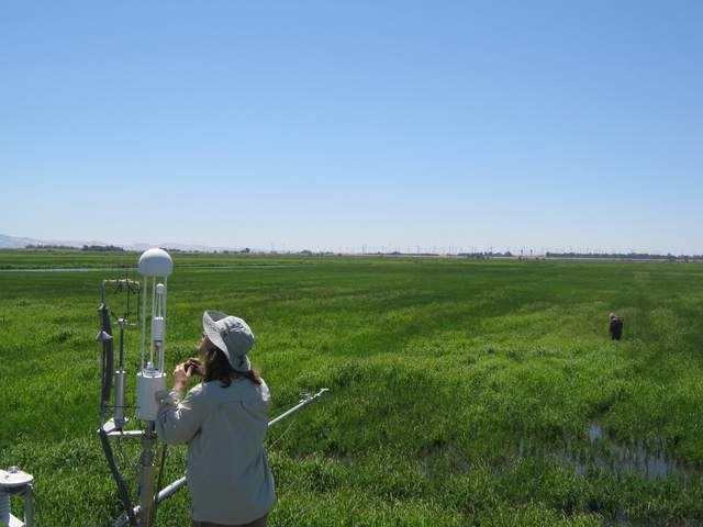 Fieldwork