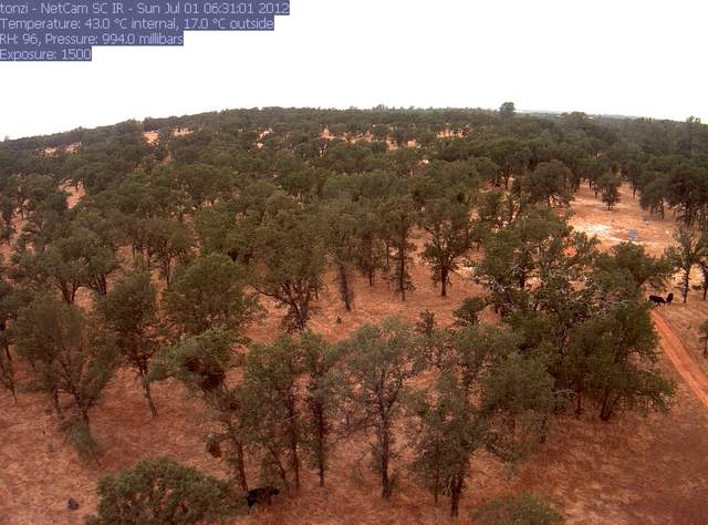 view of field site