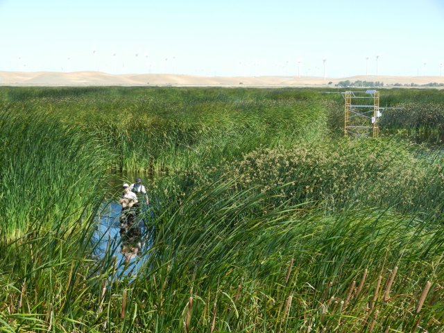Cove and Sara in the wetland