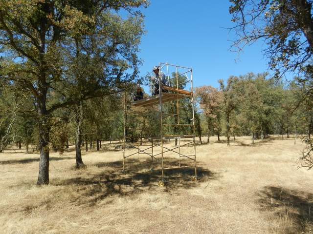 Martin making clumping measurements on scaffolding