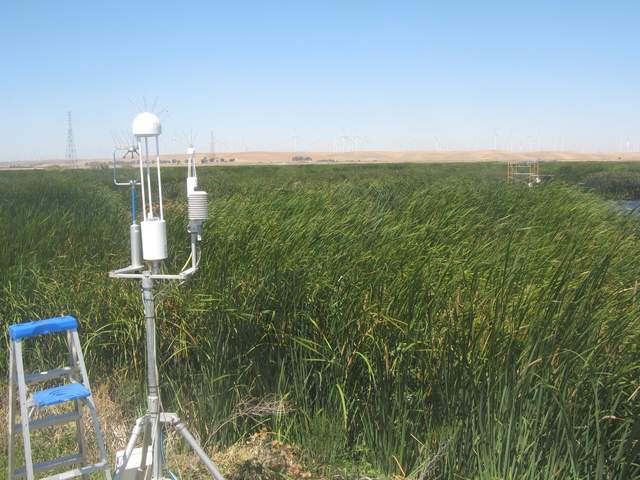 Field visit