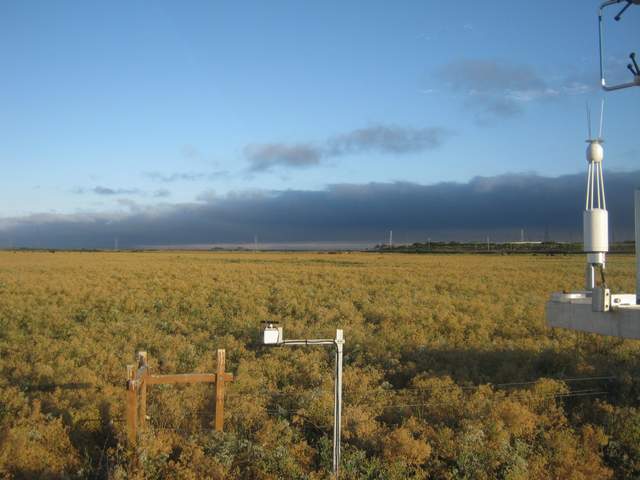 Fog bank