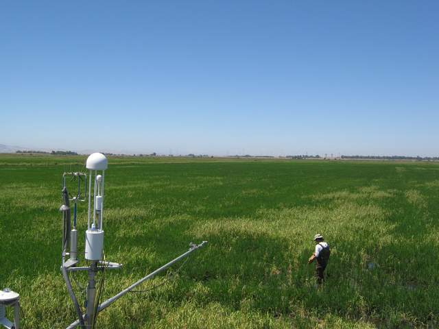 Fieldwork
