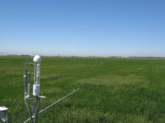 Other group field work