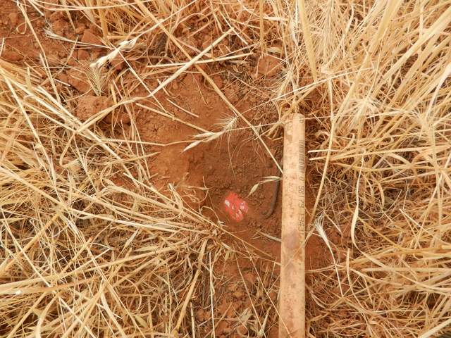Location of a soil heat flux plate