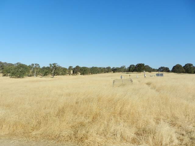 View of field site from the road