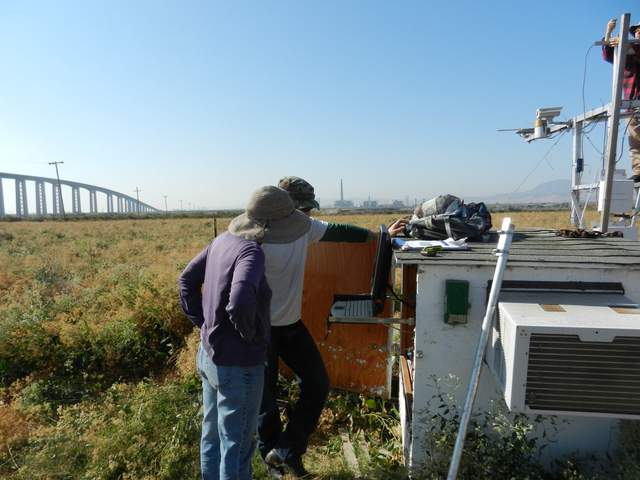 Cove and Laurie checking the data