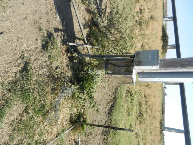 Cows are destroying the power boxes