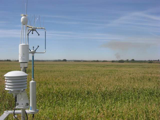 Smoke on the horizon
