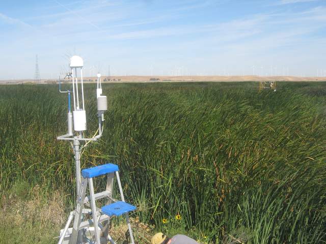 Field visit