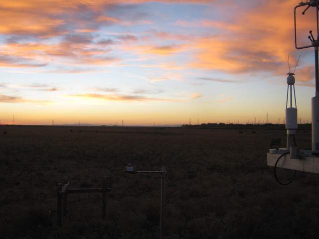 Nice sunset
