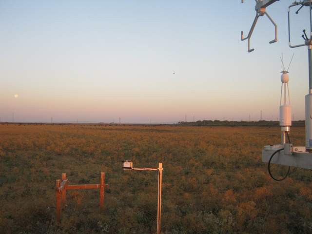 Dawn full moon