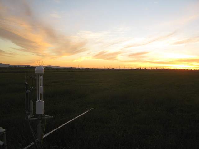 Nice sunset