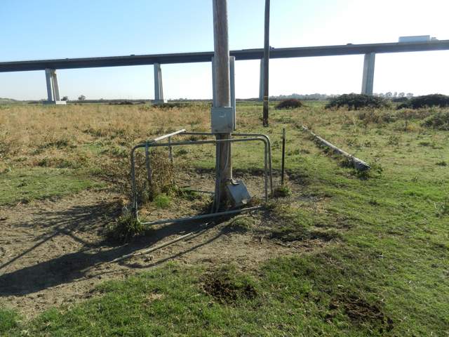 Cows destroyed the fence around the power pole
