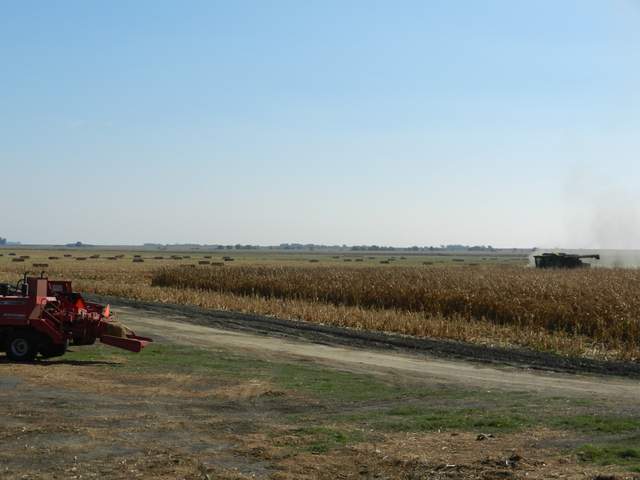 Harvesting corn north of the ponds