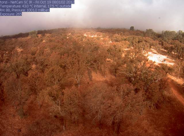 Fog wave breaking