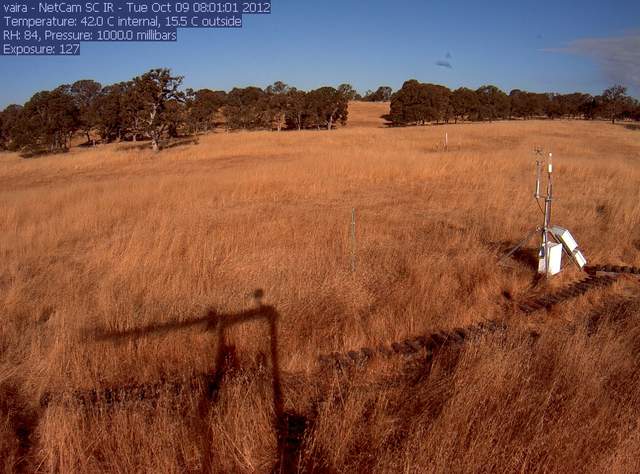 SMAP soil moisture node in pasture