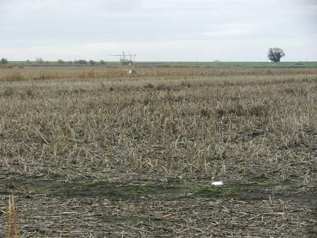 Tower and fallow corn field