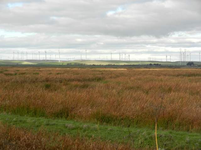Wetlands look brown compared to surrounding fields