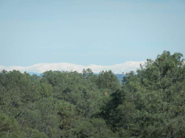 Snow in the Sierras above the tree tops
