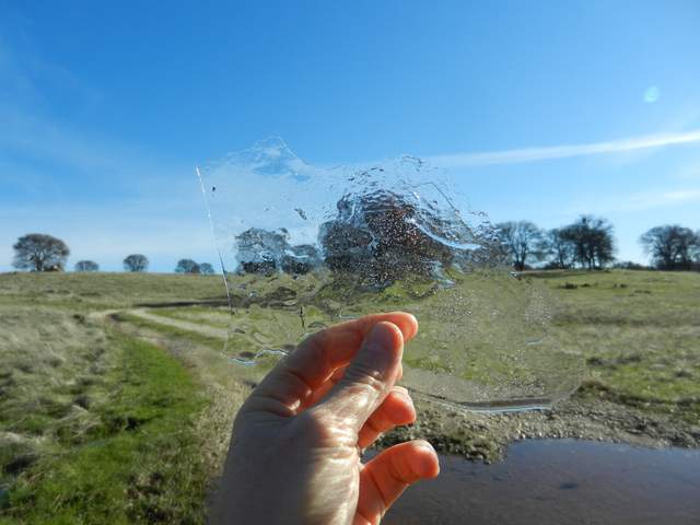 Holding up ice from a puddle