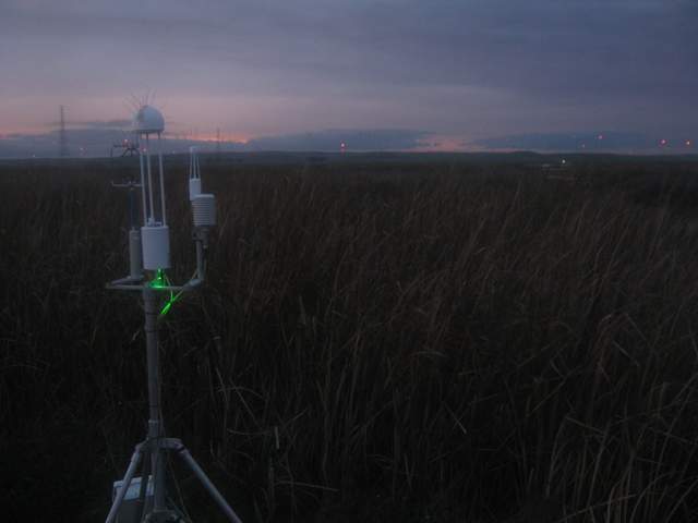 view of field site