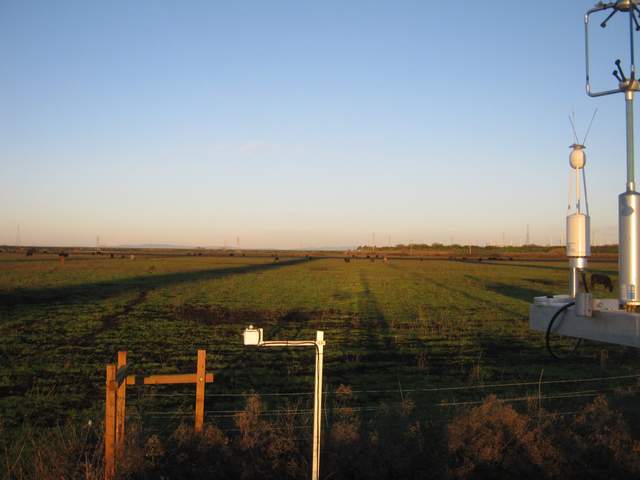Bridge shadows on the cow pasture in early morning