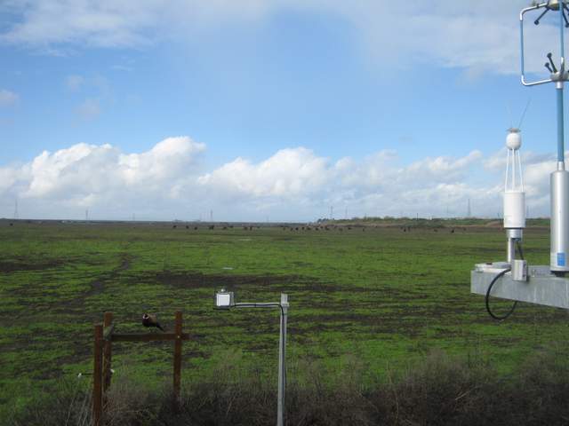 Fluffy clouds over the cow pasture