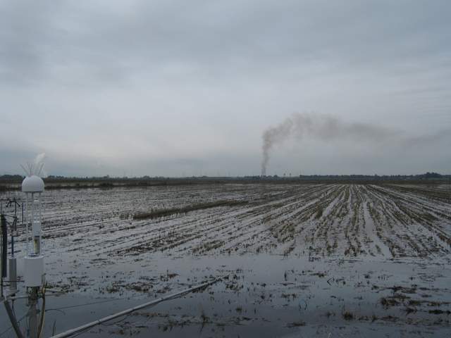 Smoke plume