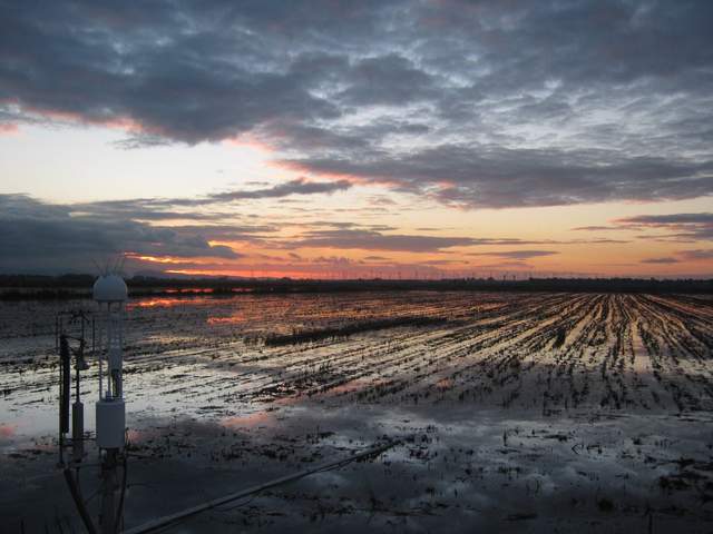 Pretty sunset with clouds over the rice paddy