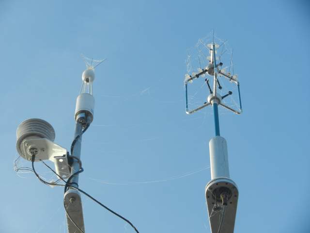 Spider webs on the eddy sensors