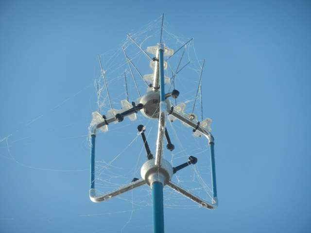 Spider webs on Gill sonic head