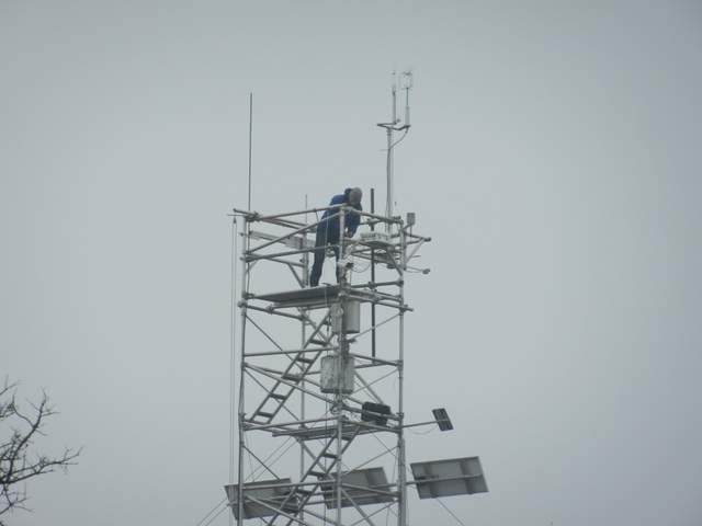 Cove on the tower top