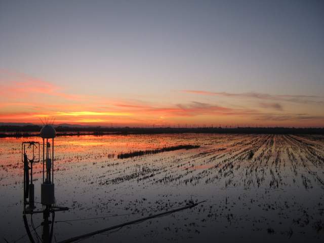 Nice sunset
