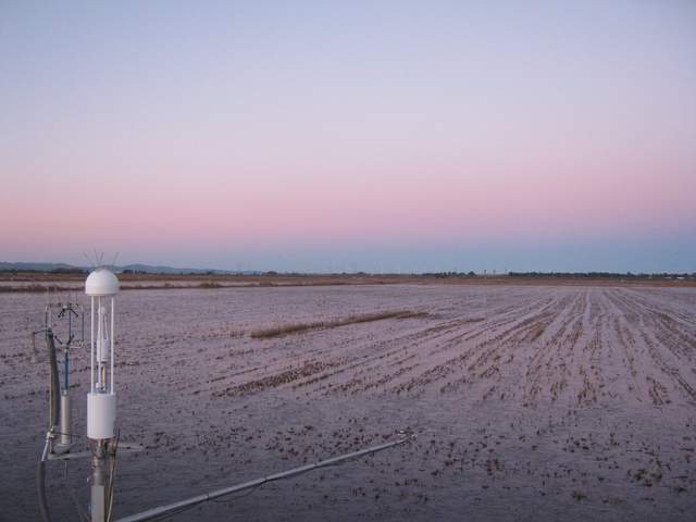 Frozen water at dawn
