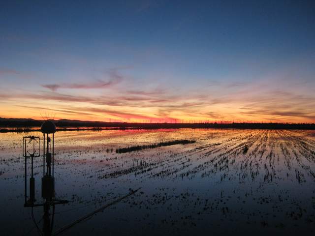 Nice sunset
