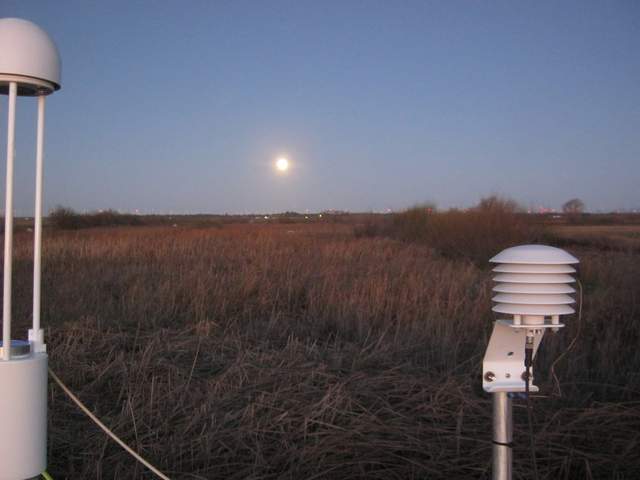 Moon at dawn