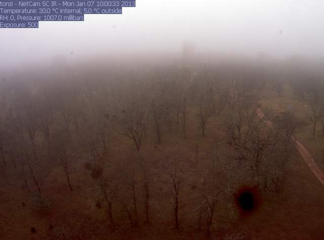 Foggy