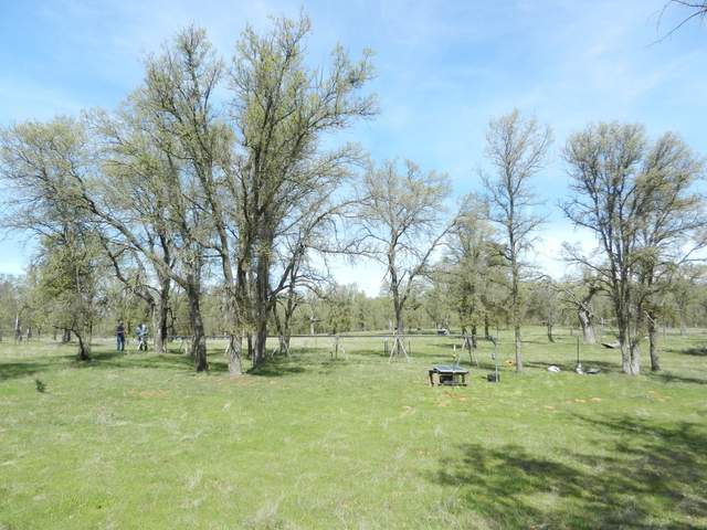 New location for radiometer tram track in the oak woodland