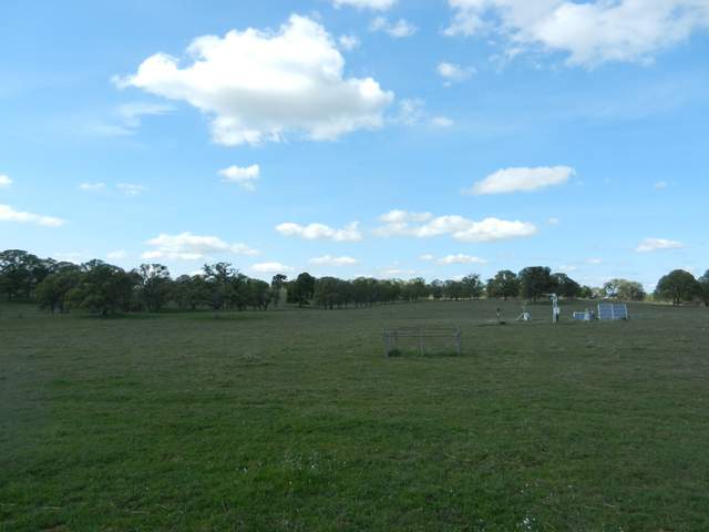 Blue sky with clouds and green grass and trees
