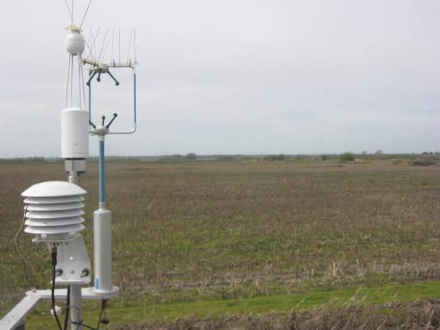 Site