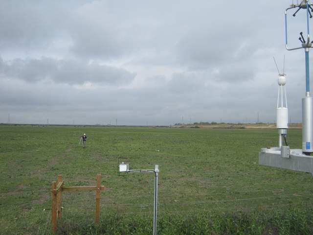 Sara in the field