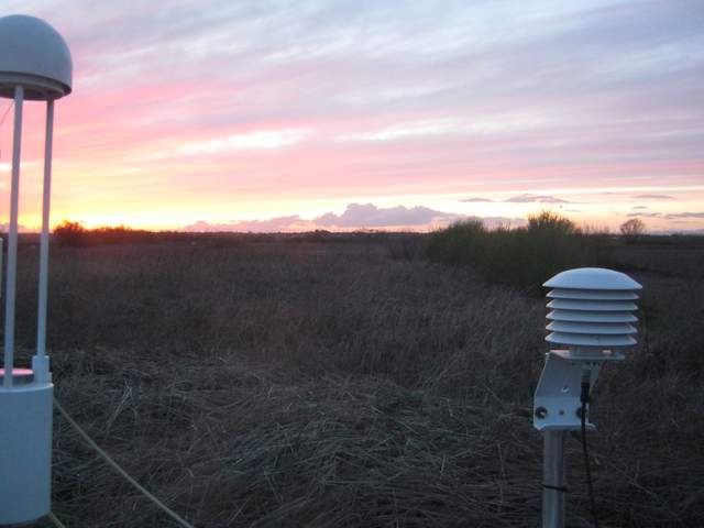 Nice sunset