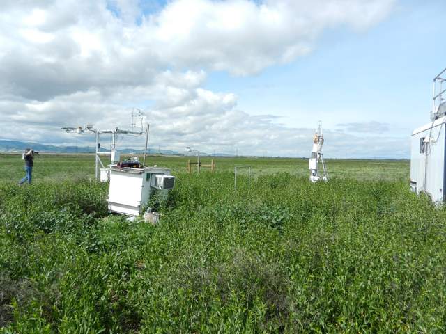 Setting up secondary tower at the cow pasture in think pepper weed