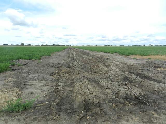 A ditch between alfalfa fields, maybe a good location for a tower