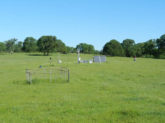 Vaira site with green grass and trees