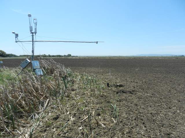 Ground sensors reinstalled in rice field