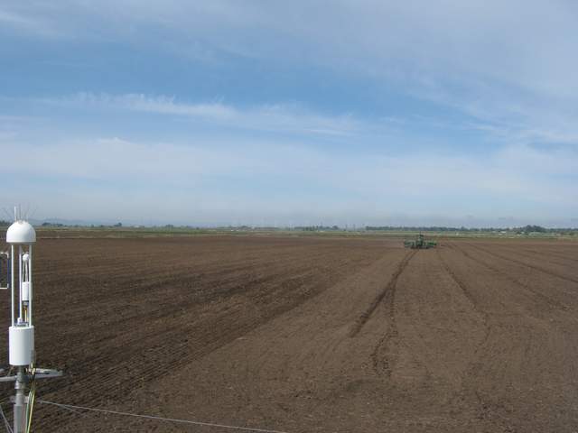 Planting